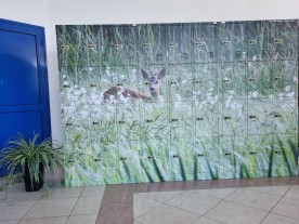 motywy graficzne